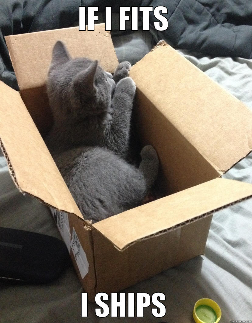 IF I FITS I SHIPS Misc