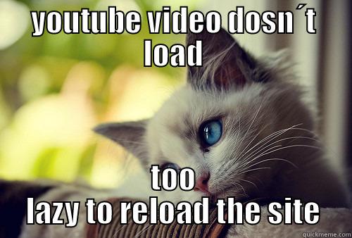 YOUTUBE VIDEO DOSN´T LOAD TOO LAZY TO RELOAD THE SITE First World Problems Cat