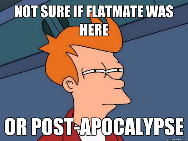 not sure if flatmate was here or post-apocalypse - not sure if flatmate was here or post-apocalypse  Futurama Fry