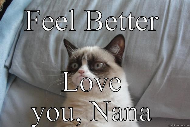 FEEL BETTER LOVE YOU, NANA Grumpy Cat