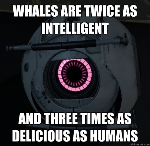 whales are twice as intelligent and three times as delicious as humans  Innacurate Fact Sphere