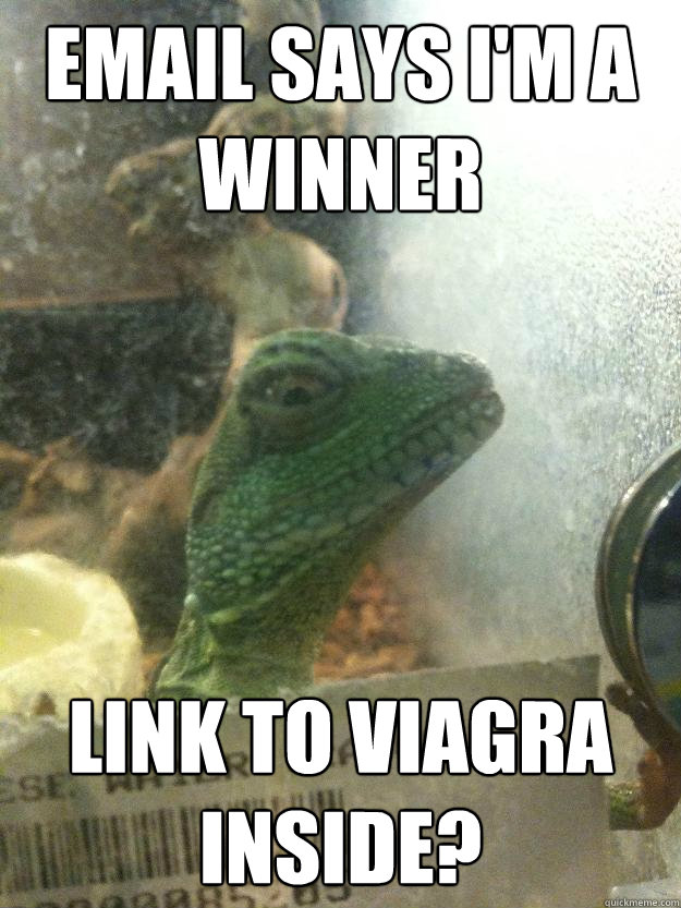 Email says I'm a winner link to viagra inside? - Email says I'm a winner link to viagra inside?  Leery Lizard