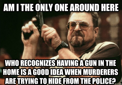 Am I the only one around here who recognizes having a gun in the home is a good idea when murderers are trying to hide from the police? - Am I the only one around here who recognizes having a gun in the home is a good idea when murderers are trying to hide from the police?  Misc