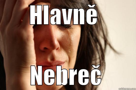 hej hej  - HLAVNĚ  NEBREČ First World Problems