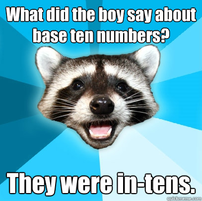 What did the boy say about base ten numbers? They were in-tens. - What did the boy say about base ten numbers? They were in-tens.  Lame Pun Coon