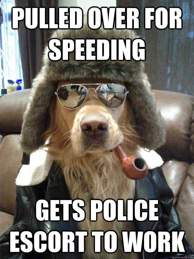 Pulled over for speeding Gets police escort to work - Pulled over for speeding Gets police escort to work  Overly Suave Dog