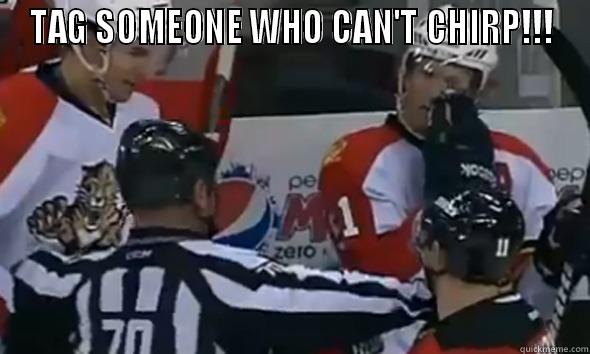 TAG SOMEONE WHO CAN'T CHIRP!!!  Misc