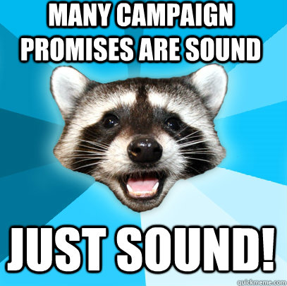 Many campaign promises are sound Just sound! - Many campaign promises are sound Just sound!  Lame Pun Coon