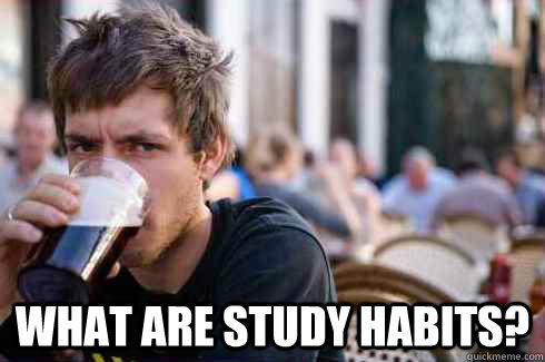  What are study habits?  Lazy College Senior