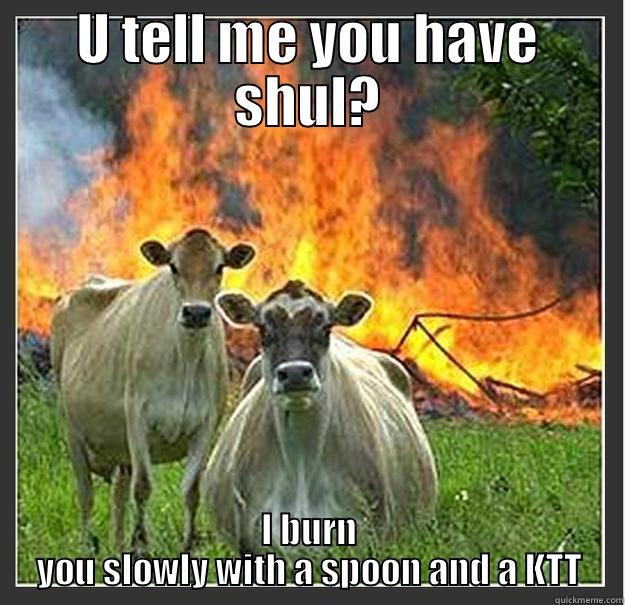 These crazy cows - U TELL ME YOU HAVE SHUL? I BURN YOU SLOWLY WITH A SPOON AND A KTT Evil cows