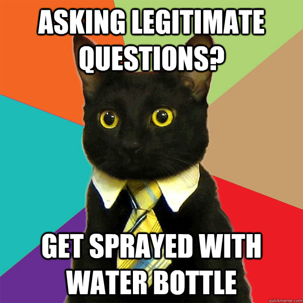 asking legitimate questions? get sprayed with water bottle  Business Cat