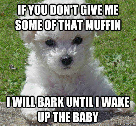 If you don't give me some of that muffin I will bark until I wake up the baby  