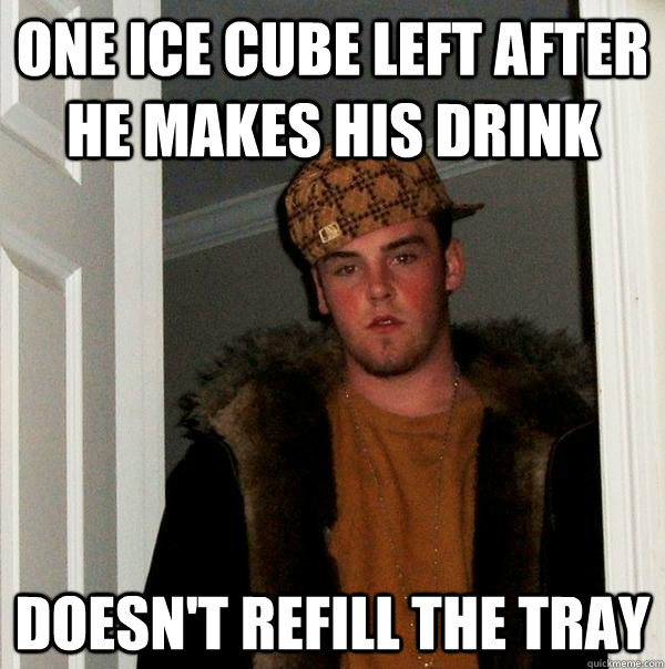 One ice cube left after he makes his drink Doesn't refill the tray  Scumbag Steve