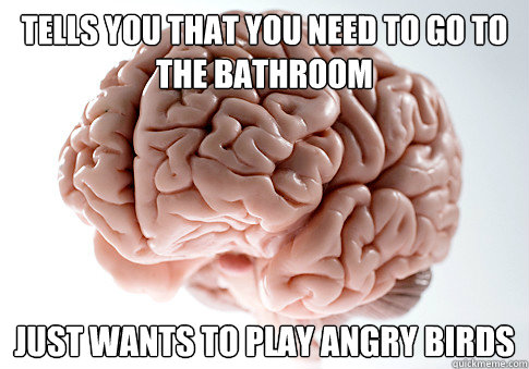 Tells you that you need to go to the bathroom Just wants to play angry birds  Scumbag Brain