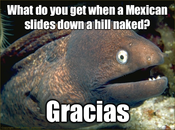 What do you get when a Mexican slides down a hill naked? Gracias  Bad Joke Eel