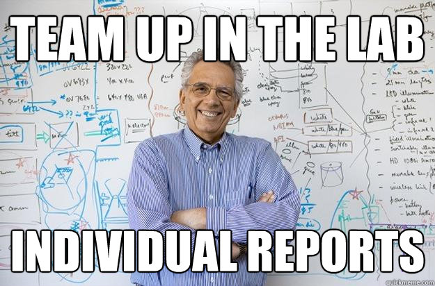 Team up in the lab Individual reports - Team up in the lab Individual reports  Engineering Professor