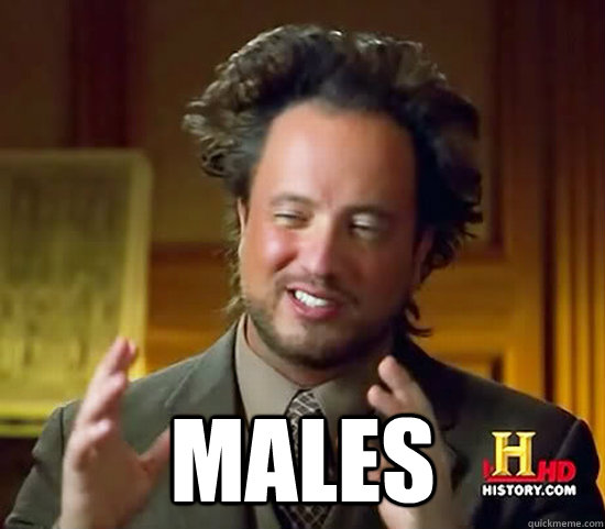  Males  Ancient Aliens