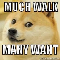 doge wants a walk -   MUCH WALK       MANY WANT Misc