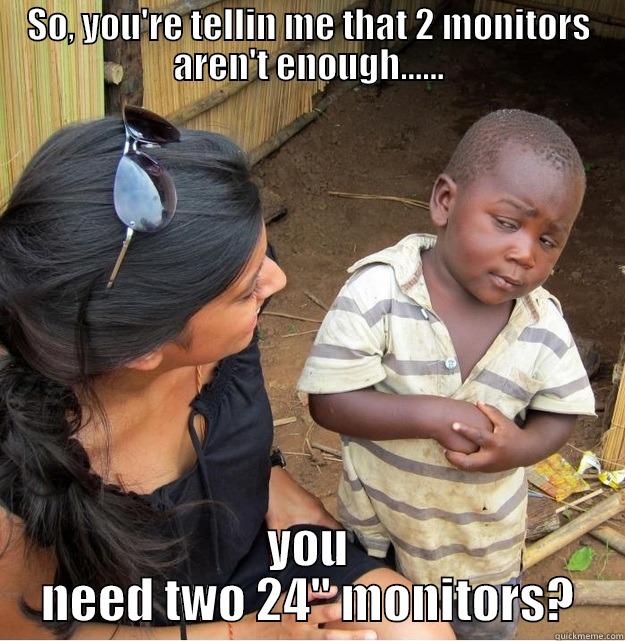 SO, YOU'RE TELLIN ME THAT 2 MONITORS AREN'T ENOUGH...... YOU NEED TWO 24