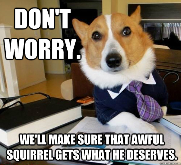 Don't worry. We'll make sure that awful squirrel gets what he deserves.  Lawyer Dog