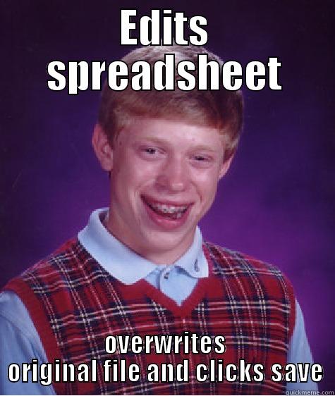 Excel level: God - EDITS SPREADSHEET OVERWRITES ORIGINAL FILE AND CLICKS SAVE Bad Luck Brian