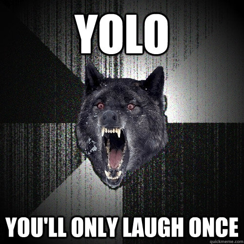 YOLO YOU'LL ONLY LAUGH ONCE   Insanity Wolf