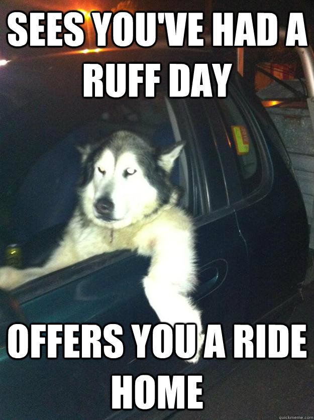 Sees you've had a Ruff day offers you a ride home - Sees you've had a Ruff day offers you a ride home  Good Guy Dog