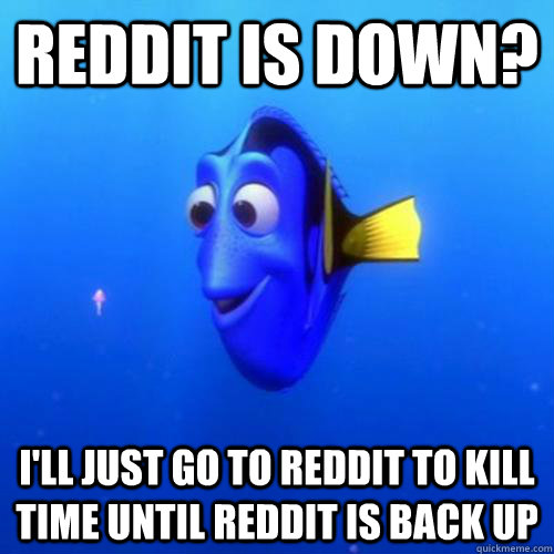 Reddit is down? I'll just go to reddit to kill time until reddit is back up  dory