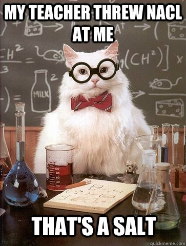 My teacher threw NaCl at me That's a salt - My teacher threw NaCl at me That's a salt  Chemistry Cat