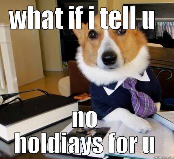 WHAT IF I TELL U  NO HOLDIAYS FOR U Lawyer Dog