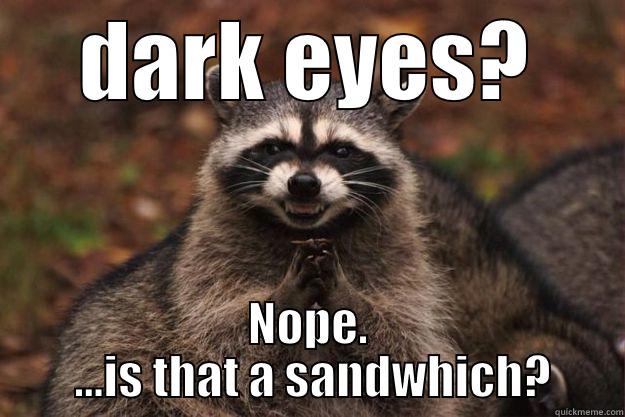 DARK EYES? NOPE.  ...IS THAT A SANDWHICH? Evil Plotting Raccoon