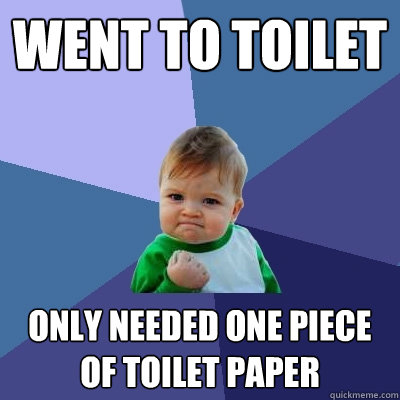 Went to toilet Only needed one piece of toilet paper  Success Kid