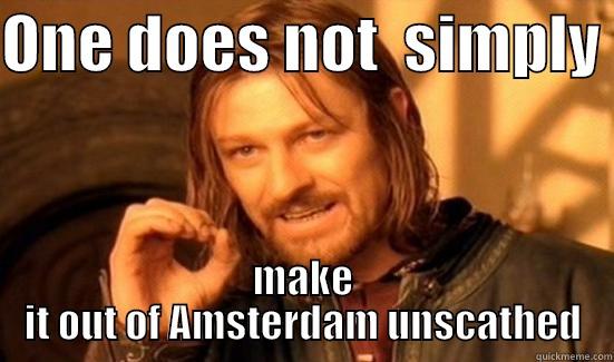 ONE DOES NOT  SIMPLY  MAKE IT OUT OF AMSTERDAM UNSCATHED Boromir