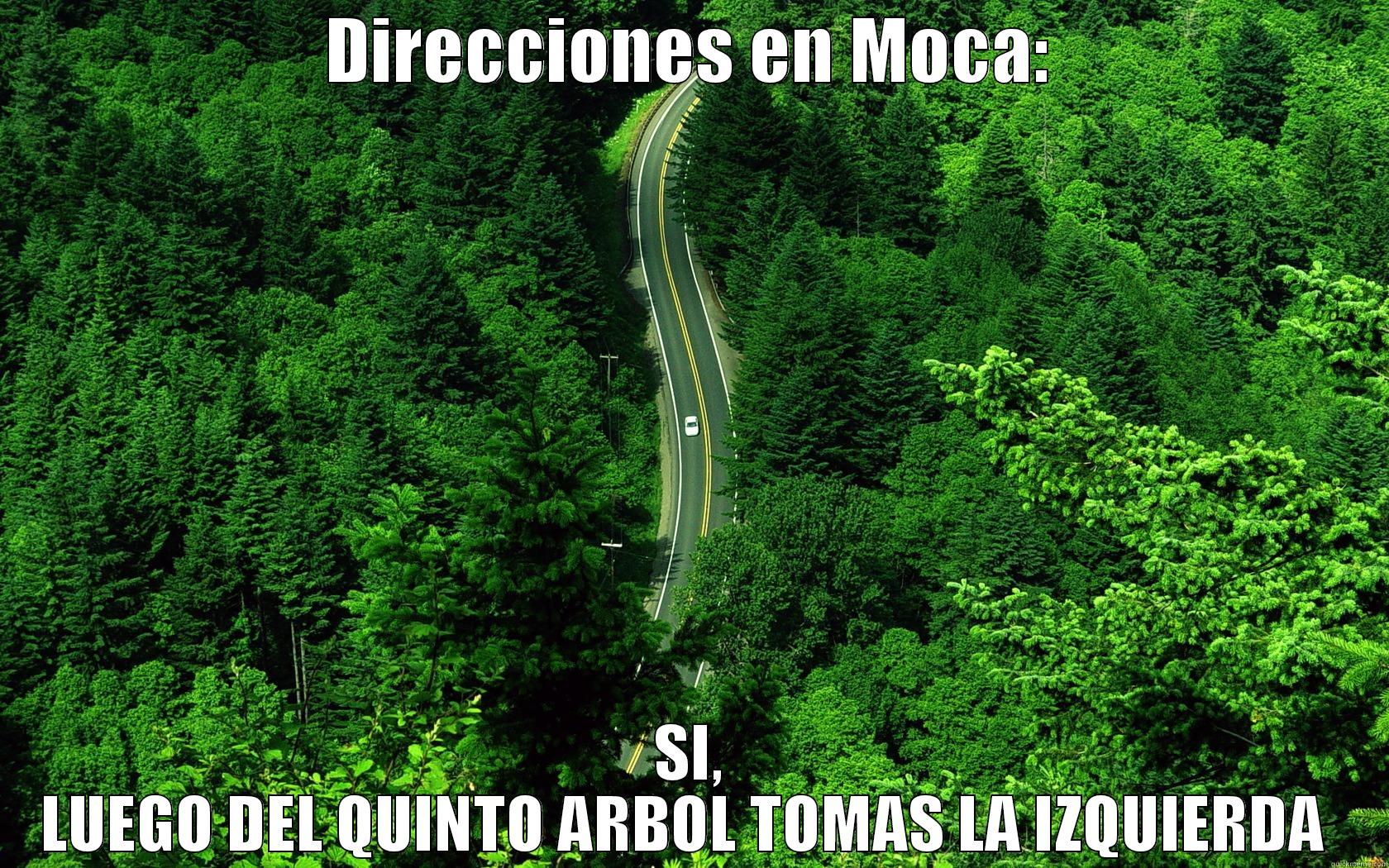 DIRECCIONES EN MOCA: SI, LUEGO DEL QUINTO ARBOL TOMAS LA IZQUIERDA  Misc