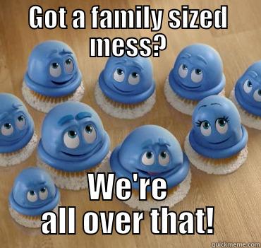 GOT A FAMILY SIZED MESS? WE'RE ALL OVER THAT! Misc