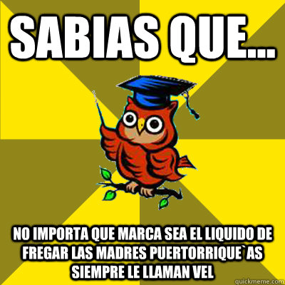 Sabias que... No importa que marca sea el liquido de fregar las madres puertorrique`as siempre le llaman Vel  Observational Owl