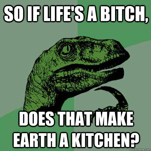 So if life's a bitch, Does that make earth a kitchen?  Philosoraptor