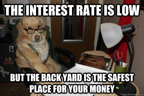 The interest rate is low But the back yard is the safest place for your money  Financial Advice Dog