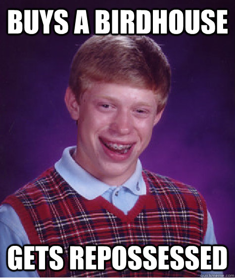 buys a birdhouse gets repossessed  Bad Luck Brian