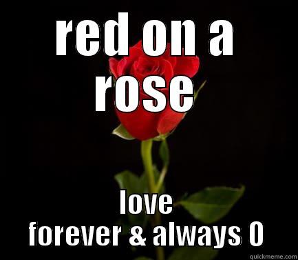 RED ON A ROSE LOVE FOREVER & ALWAYS O Misc