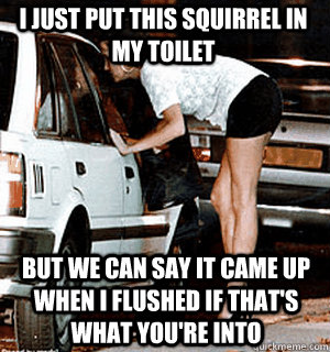 I just put this squirrel in my toilet But we can say it came up when I flushed if that's what you're into  Karma Whore