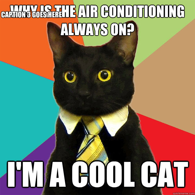 why is the air conditioning always on? i'm a cool cat Caption 3 goes here  Business Cat