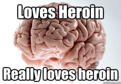 Loves Heroin Really loves heroin   Scumbag Brain