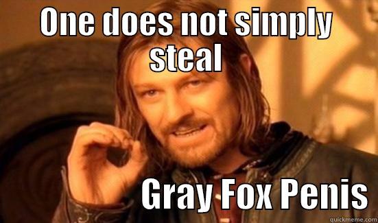 ONE DOES NOT SIMPLY STEAL                      GRAY FOX PENIS Boromir