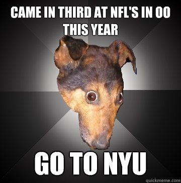 Came in third at NFL's in oo this year go to nyu  Depression Dog