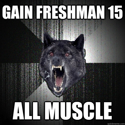 Gain freshman 15 All muscle  Insanity Wolf