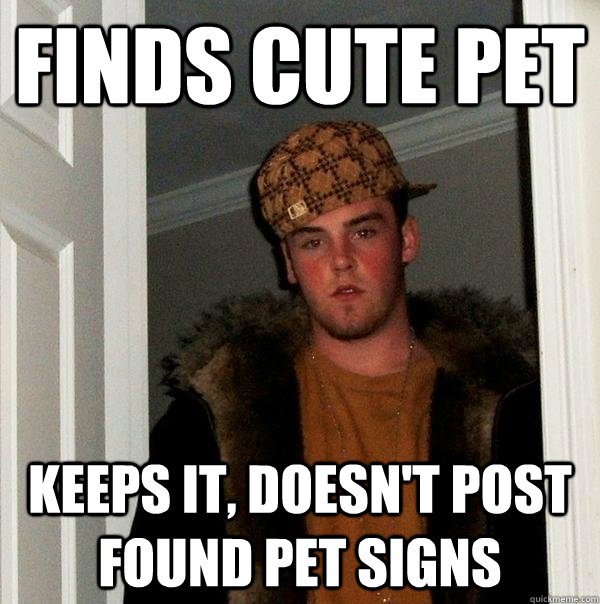 Finds cute pet keeps it, doesn't post found pet signs  Scumbag Steve