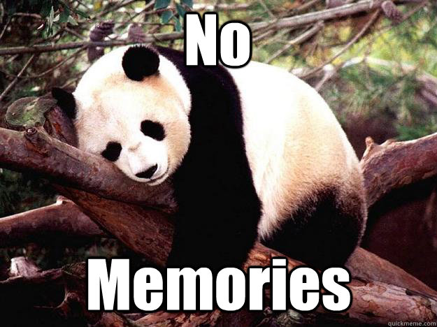 No Memories  Procrastination Panda