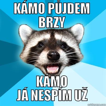 FAKIN MÝVALSKY - KÁMO PŮJDEM BRZY KÁMO JÁ NESPÍM UŽ Lame Pun Coon