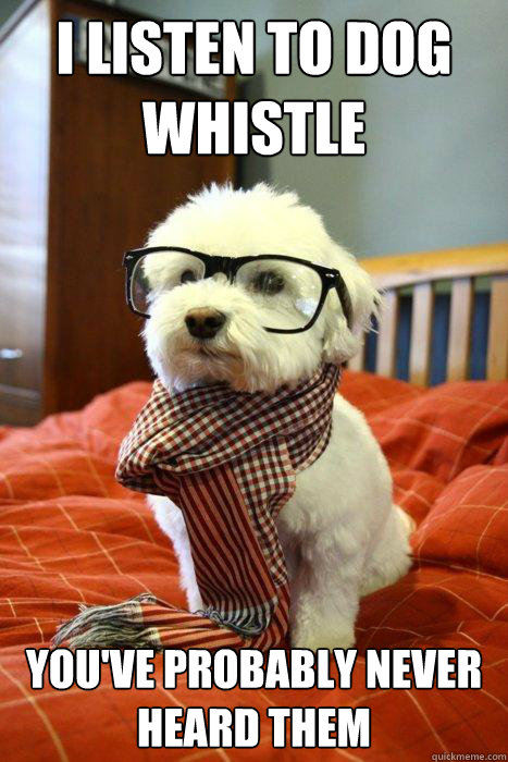 I listen to Dog Whistle You've probably never heard them  Hipster Dog